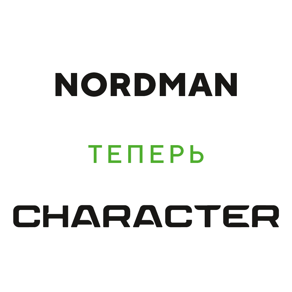 Ikon (Nokian Tyres) Nordman 8 245/45 R17 99T (XL) цена